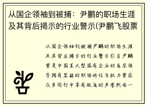 从国企领袖到被捕：尹鹏的职场生涯及其背后揭示的行业警示(尹鹏飞股票的简历)