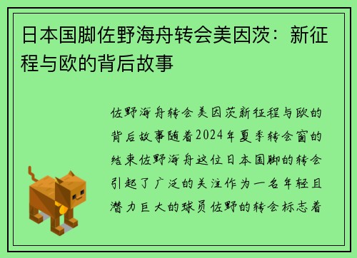 日本国脚佐野海舟转会美因茨：新征程与欧的背后故事