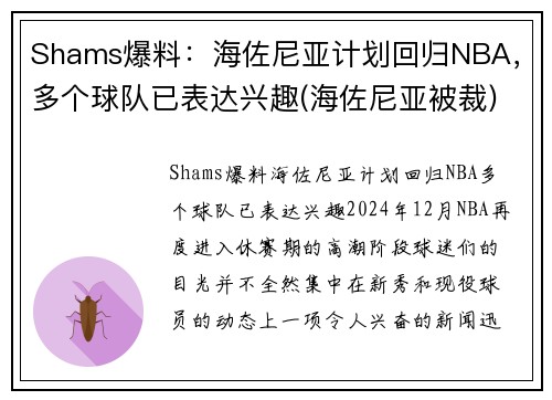 Shams爆料：海佐尼亚计划回归NBA，多个球队已表达兴趣(海佐尼亚被裁)