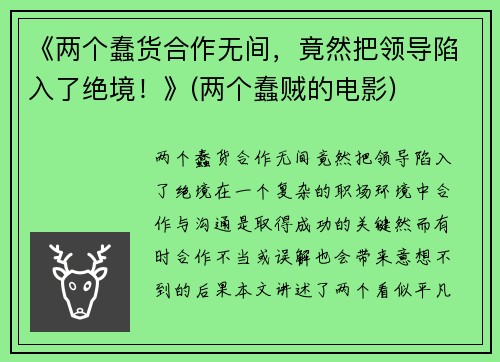 《两个蠢货合作无间，竟然把领导陷入了绝境！》(两个蠢贼的电影)