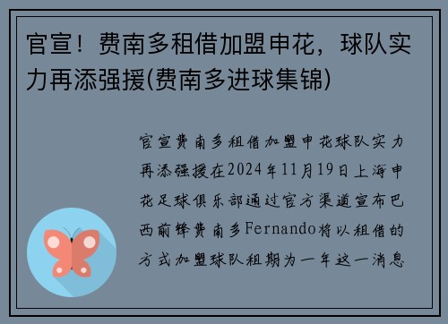 官宣！费南多租借加盟申花，球队实力再添强援(费南多进球集锦)