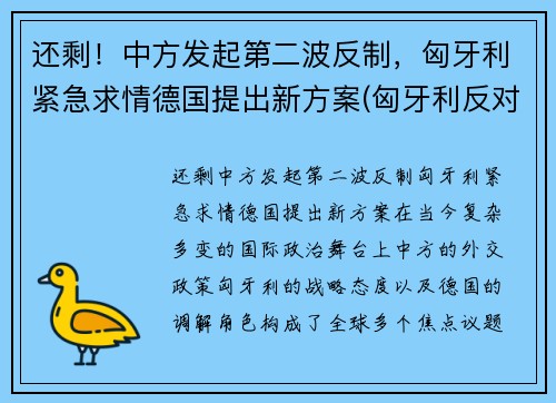 还剩！中方发起第二波反制，匈牙利紧急求情德国提出新方案(匈牙利反对派称若当选将终止中资计划)