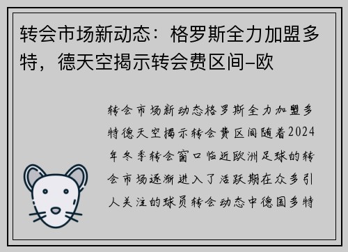 转会市场新动态：格罗斯全力加盟多特，德天空揭示转会费区间-欧